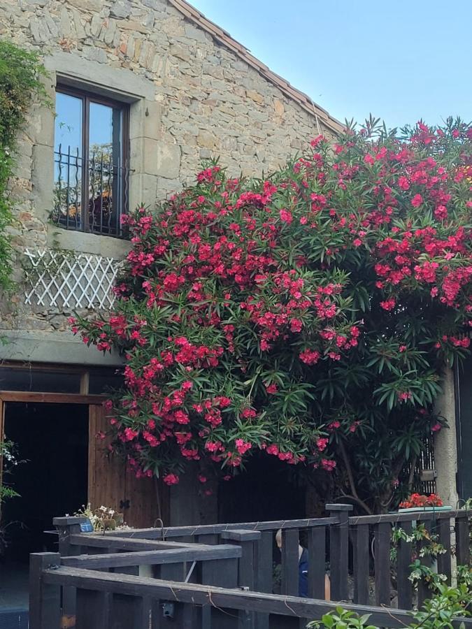 Azille L'Apartement מראה חיצוני תמונה